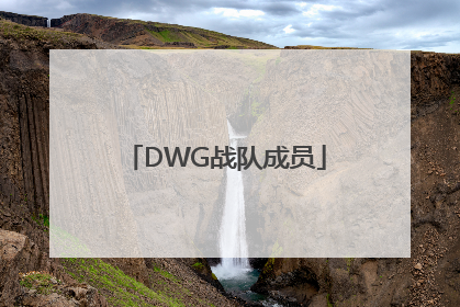 「DWG战队成员」2020年dwg战队成员
