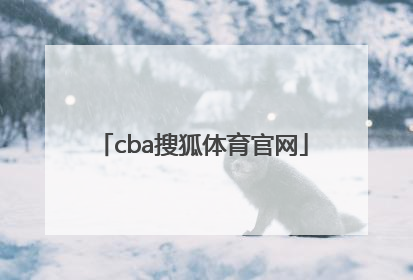 「cba搜狐体育官网」搜狐体育中超官网