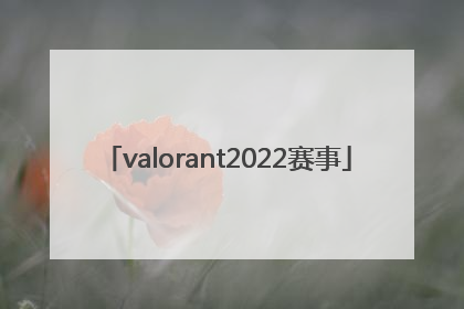 「valorant2022赛事」valorant2022世界赛赛程